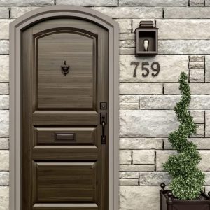 Classic Metal Ring Door Knocker- Black